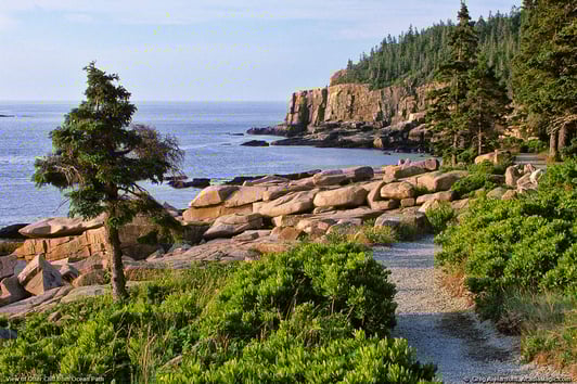 yachting in new england